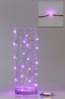 Led Battery Seed Light 2M L/Pink
