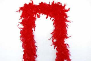 Dress Up Feather Boa Red