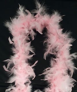 Dress Up Feather Boa Pink