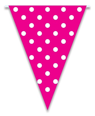 Flag Bunting Dots - Hot Pink 28cm x 5M